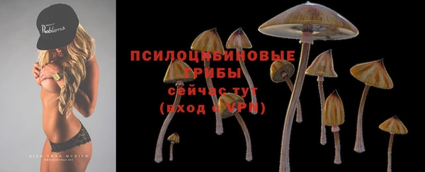 мет Магас