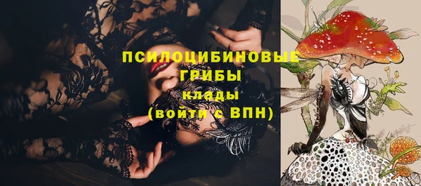 мет Магас