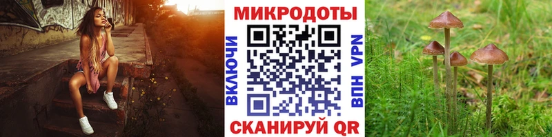 Псилоцибиновые грибы GOLDEN TEACHER  Купить где  Апатиты 